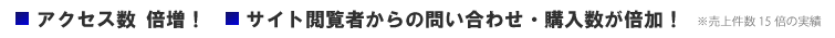 アクセス数倍増、サイト閲覧者からの問い合わせ・購入数が倍増
